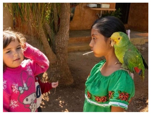 Student interacting with a parrot at Colossal Academy Primary